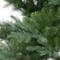 6.5ft. Pre-Lit Hillside Spruce Artificial Tree, Clear LED Lights